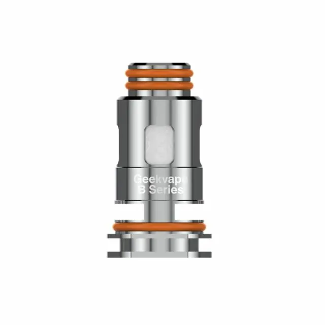 Résistances B Series B0.3 ohm (x5) - GeekVape