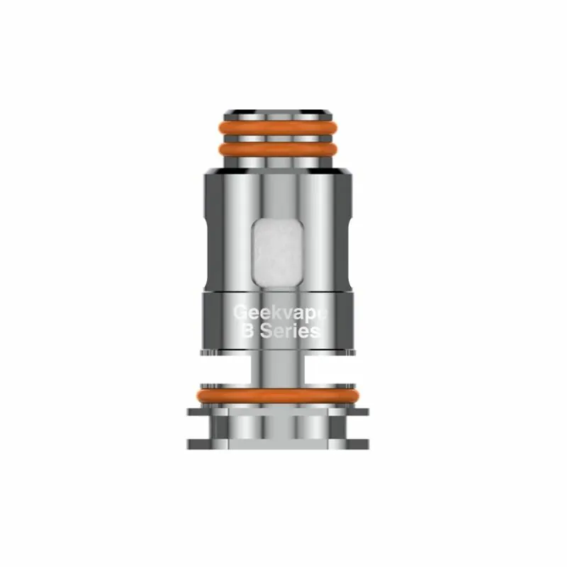 Résistances B Series B1.2 ohm (x5) - GeekVape