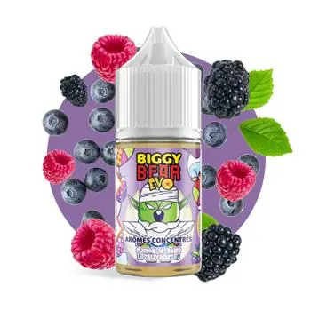 Concentrate Fusion de Baies Sauvages - Biggy Bear EVO