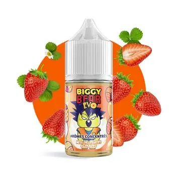 Concentrate Mix de Fraises Acidulées - Biggy Bear EVO