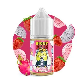 Concentrate Sorbet Fraise Fruit du Dragon Givrés - Biggy Bear EVO